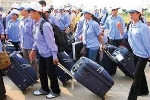 8 doanh nghiệp được cấp phép đưa lao động đi làm việc tại châu Phi