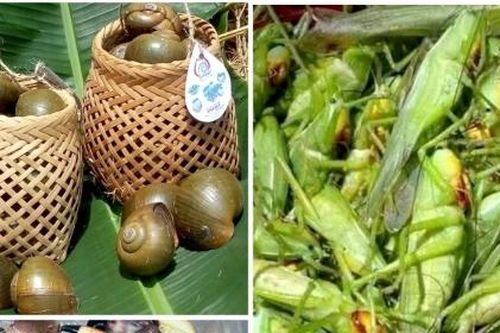 Lùng mua đặc sản đồng quê, có loại có tiền cũng không dễ gì mua được