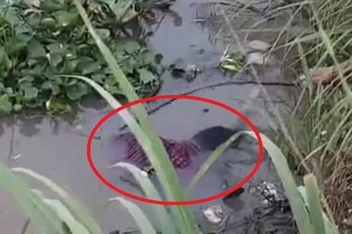 Phát hiện thi thể người đàn ông trên sông Bô Kê