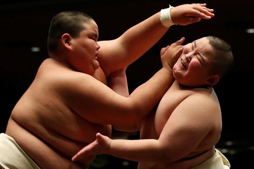 Sumo chết dần tại Nhật Bản