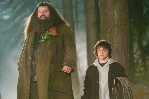 Sao phim 'Harry Potter' đau ốm triền miên trước khi qua đời