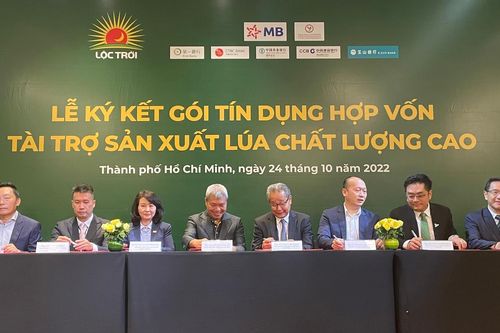 Ký kết hợp đồng tín dụng mở rộng sản xuất lúa chất lượng cao