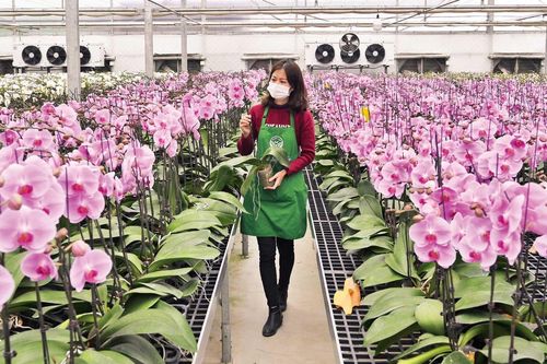 Tập trung giải ngân vốn đầu tư xây dựng nông thôn mới