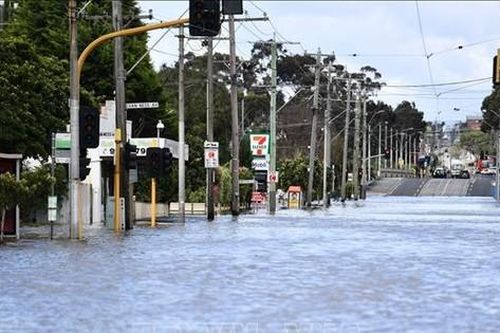 Australia đối mặt đợt mưa lũ lớn