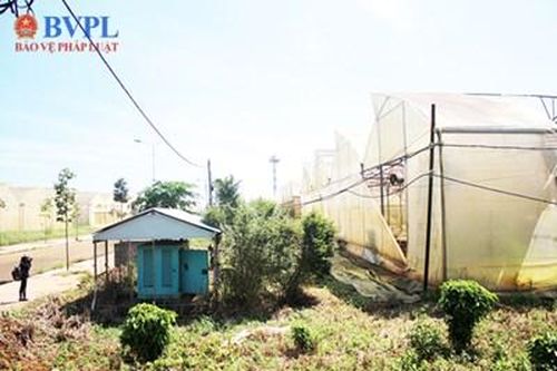 Bắt tạm giam nguyên Phó Giám đốc Sở Khoa học và Công nghệ tỉnh Đồng Nai
