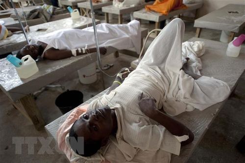 Các tổ chức nhân đạo lo ngại thảm họa dịch tả tại Haiti