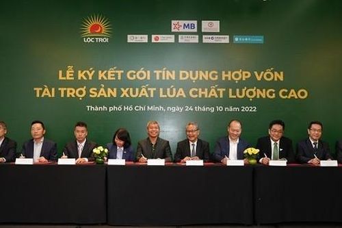 100 triệu USD tài trợ vốn cho dự án gạo chất lượng cao của Việt Nam