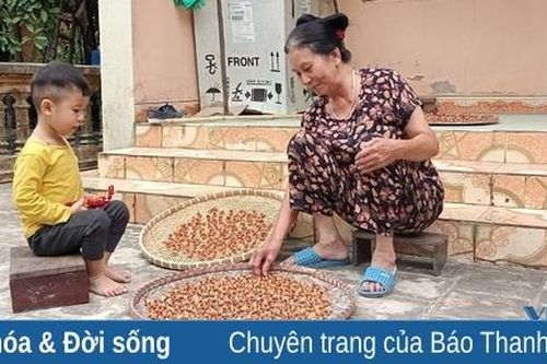 Những mùa cau chưa cũ