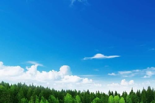 Ký ức một vùng quê