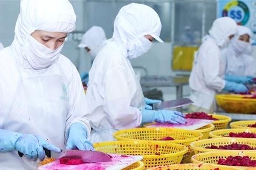 Đầu tư khâu bảo quản nông sản là hướng đi lâu dài