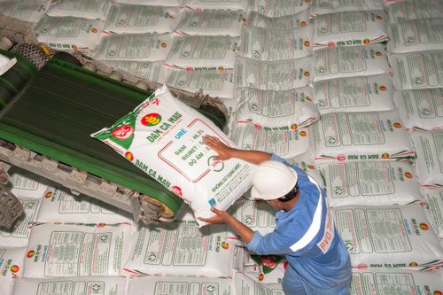 Giá bán tăng, lợi nhuận ròng của Phân bón Dầu khí Cà Mau tăng gần 4 lần
