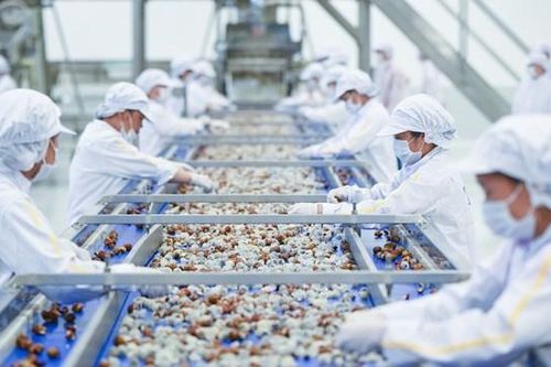 Thúc đẩy phát triển Vùng kinh tế trọng điểm phía Nam