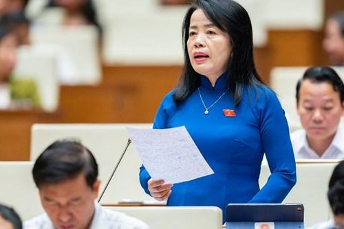 Gần 30 cuộc thanh tra chưa có kết luận, trách nhiệm thuộc về ai?