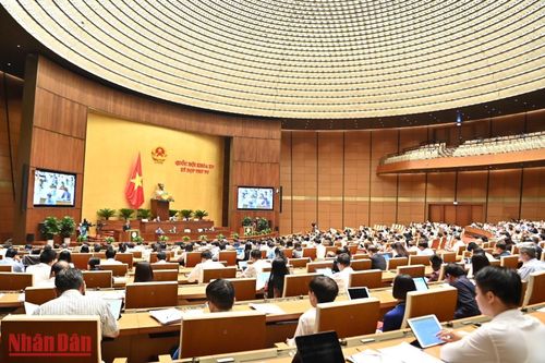 Nguy cơ thất thu ngân sách lớn nếu bỏ thanh tra trong lĩnh vực thuế, hải quan