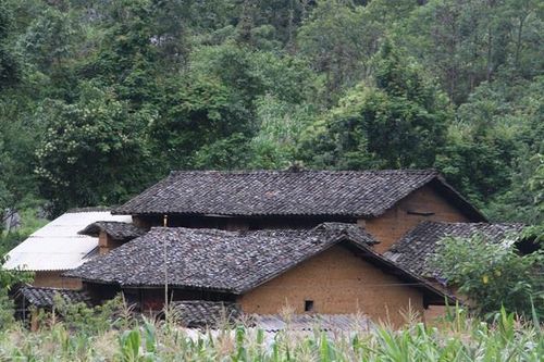 Bảo tồn nhà trình tường trên Cao nguyên đá Đồng Văn