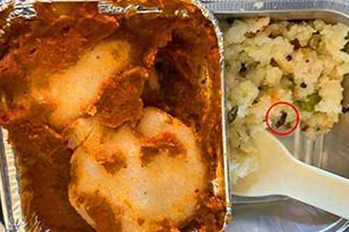 Hành khách tố suất ăn máy bay có gián, hãng hàng không 'kêu' khách nhìn nhầm