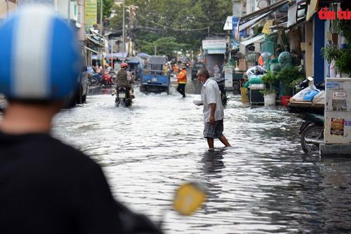 Hàng loạt tuyến đường ở TP Hồ Chí Minh lại chìm trong 'biển' nước