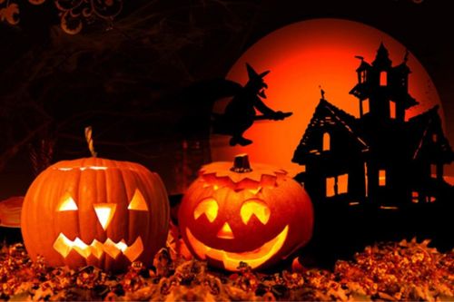 Bí ngô được chọn là biểu tượng trong dịp lễ Halloween, câu chuyện kỳ bí phía sau không phải ai cũng biết