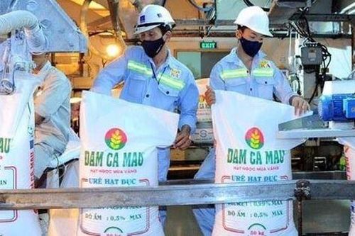 Đạm Cà Mau (DCM) 9 tháng lãi ròng gần 3.300 tỷ, vượt hơn 500% kế hoạch năm