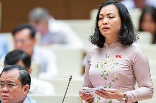 Đề nghị xử lý chồng chéo giữa hoạt động thanh tra với giám sát