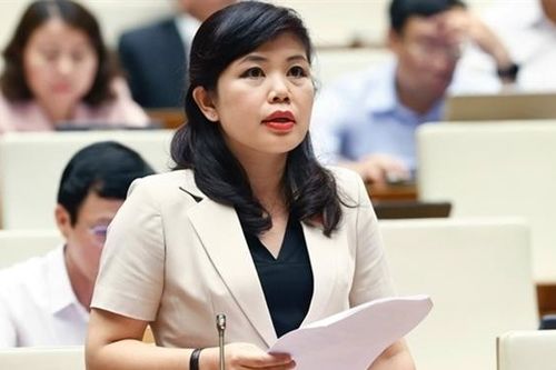 Cần thiết thành lập cơ quan thanh tra tại Cục thuộc Tổng cục theo ngành dọc đặt tại địa phương
