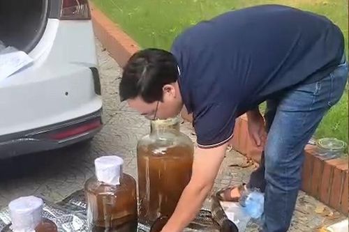 Dùng cá thể động vật quý hiếm để ngâm rượu