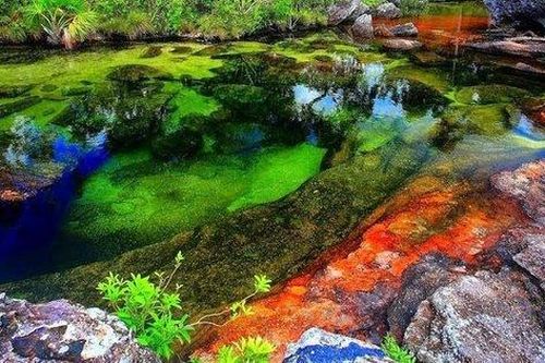 Sông ngũ sắc ở Colombia: Tuyệt tác thiên nhiên không được chạm vào, chỉ rực rỡ trong vài tháng hàng năm