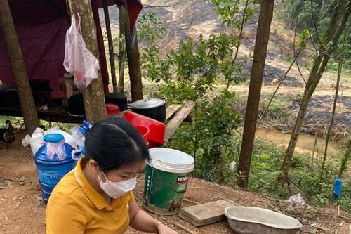 7 người ở Nghệ An nhập viện cấp cứu do uống thân cây lá ngón
