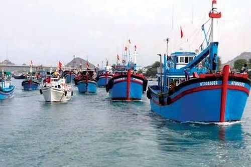 Việt Nam nỗ lực xây dựng và phát triển nghề cá bền vững