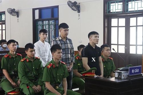 Cái kết đắng cho những 'shipper' ma túy