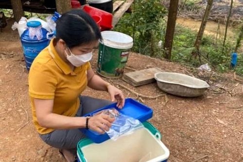 7 nạn nhân bị ngộ độc do uống nhầm nước thân cây lá ngón