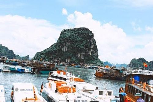 Tàu du lịch 'khóc thét' sau thông báo bất ngờ của cây xăng duy nhất tại Vân Đồn