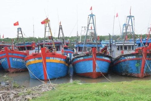 Gió Đông Bắc trên biển giật cấp 8-9, sóng biển dâng cao, Nghệ An chủ động ứng phó