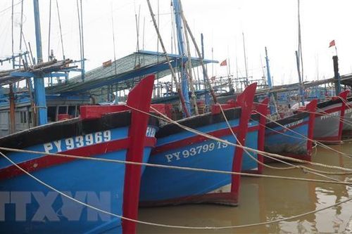 Các tỉnh Quảng Ninh đến Bình Định chủ động ứng phó gió mạnh trên biển