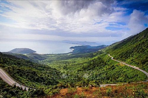 Vụ tự ý san ủi rừng Hải Vân: Xử phạt vi phạm, buộc khôi phục nguyên trạng