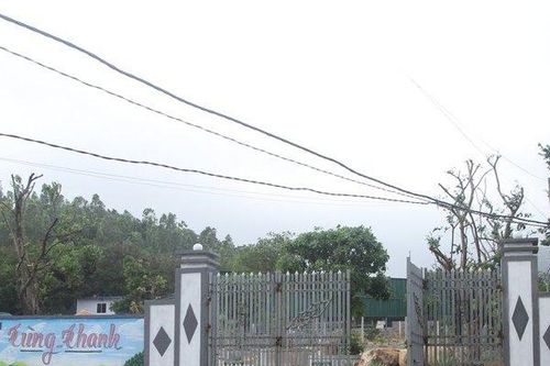 Khởi tố chủ trang trại và đồng phạm đánh người dân trên núi Hòn Rồng
