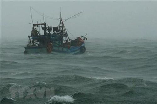 Thưởng hơn 106 triệu đồng cho ngư dân phát hiện, lai dắt tàu vỏ sắt trôi dạt trên biển