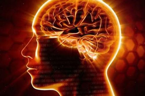 Con người mới dùng 10% bộ não, duy trì 8 thói quen để khai thác tối đa tiềm năng