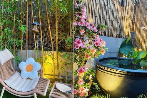 Khu vườn sân thượng 255m² được chủ nhân kiên trì chăm sóc qua 10 năm