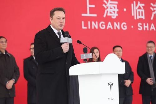 Morgan Stanley khuyên nhà đầu tư xem Tesla như một công ty Trung Quốc