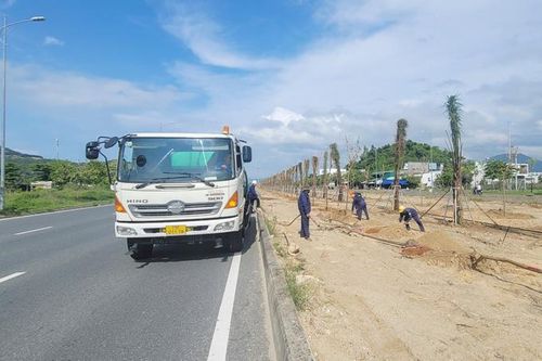 Dự án Trồng cây xanh dải phân cách đường Võ Nguyên Giáp: Gấp rút hoàn thành các hạng mục