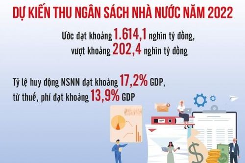 Ngành Tài chính: Phấn đấu thu ngân sách vượt dự toán năm 2022 là nỗ lực rất lớn