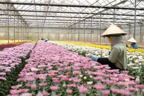 Công nghệ cao tạo đà bứt phá xây dựng huyện nông thôn mới kiểu mẫu
