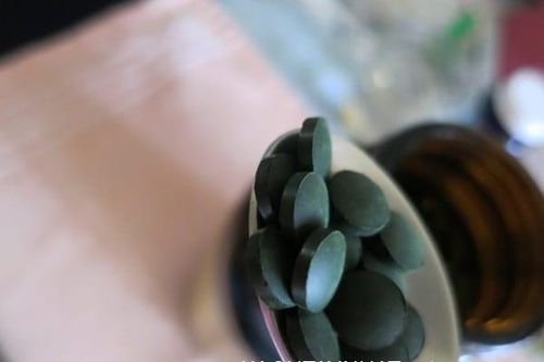 Tìm hiểu thông tin về tảo xoắn Spirulina Nhật Bản