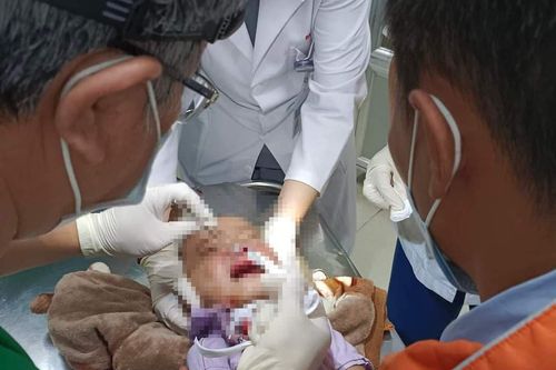 Điều tra thông tin tố cảnh sát giao thông đánh người dân