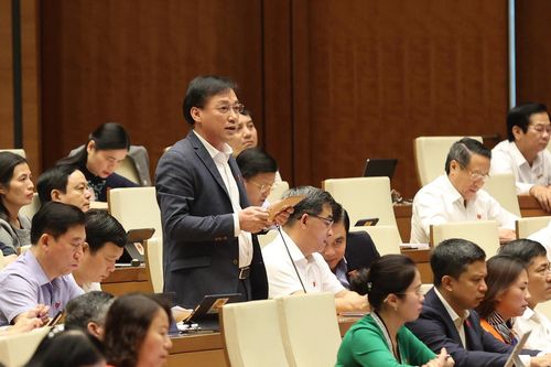 Đại biểu Quốc hội đề nghị sớm triển khai xây dựng Chương trình mục tiêu quốc gia về văn hóa