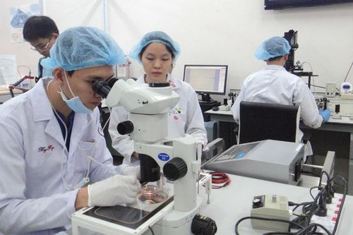 Đại học Quốc gia TP Hồ Chí Minh được ghi nhận về cơ hội việc làm tốt nhất Việt Nam