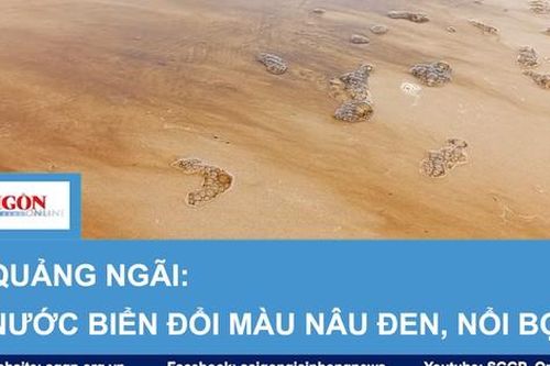Quảng Ngãi: Nước biển đổi màu nâu đen, nổi bọt