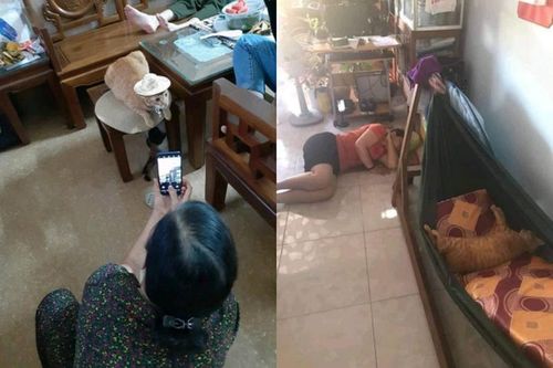 Khi bố mẹ mê 'boss', các bạn trẻ ngậm ngùi nhận 'con ghẻ'