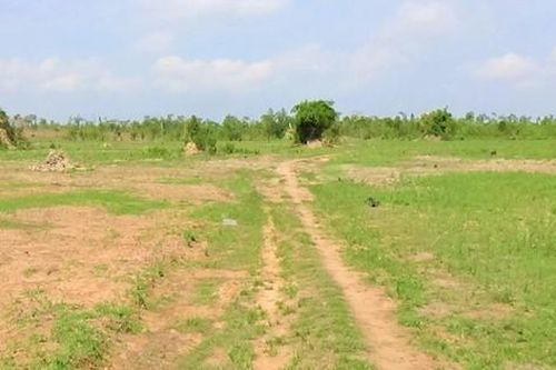 Để mất hơn nghìn héc-ta rừng tự nhiên, giám đốc công ty bị xem xét kỷ luật